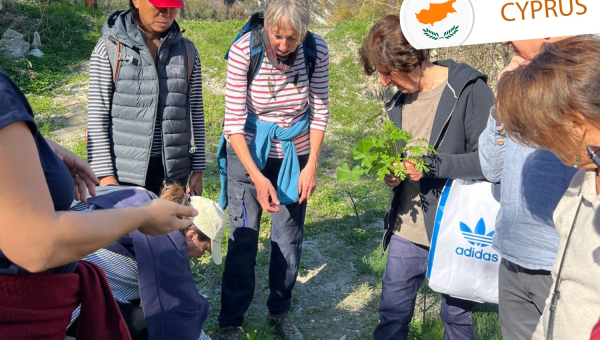  Rediscovering herbal traditions: SIGA pilot workshops in Cyprus 